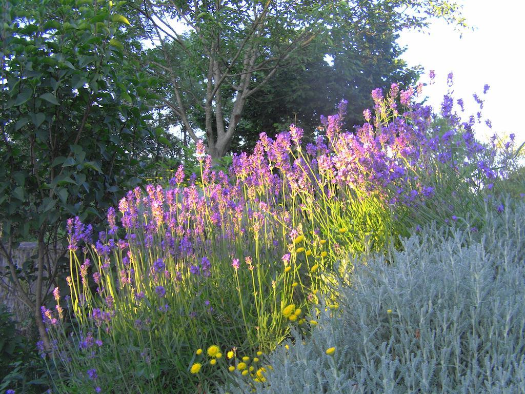 Bed and Breakfast Fenetre Sur Loire Iguerande Экстерьер фото